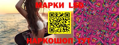 шишки Рыбинск