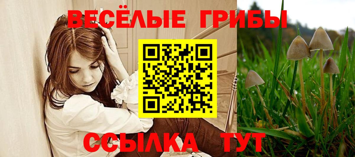 A-PVP Сатка